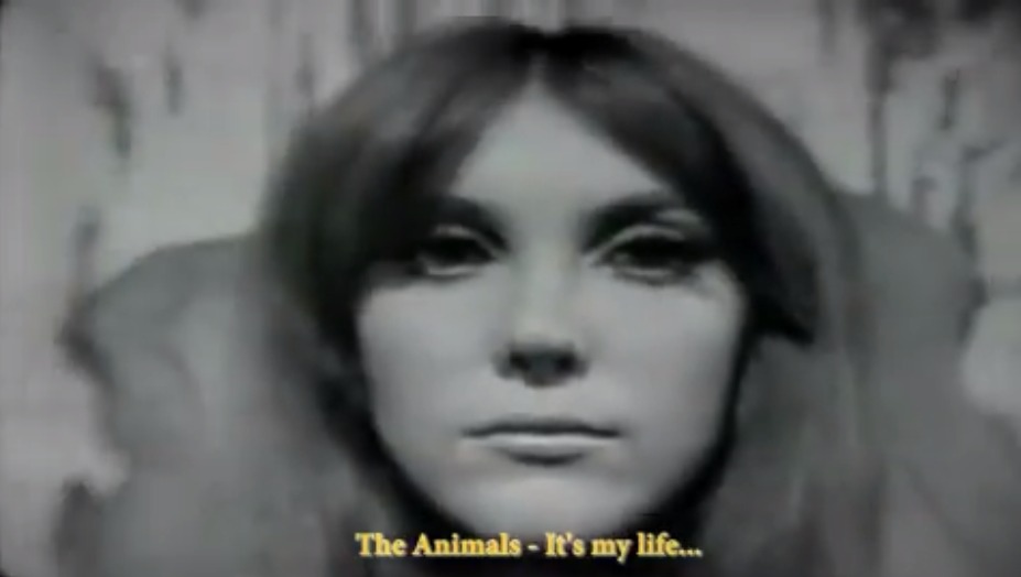 The Animals – It’s My Life